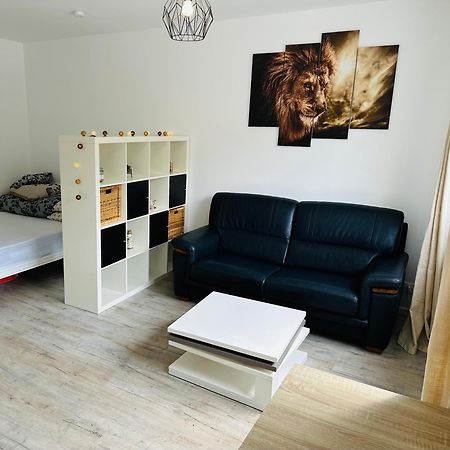 Tres Agreable Studio A Villeurbanne Esterno foto