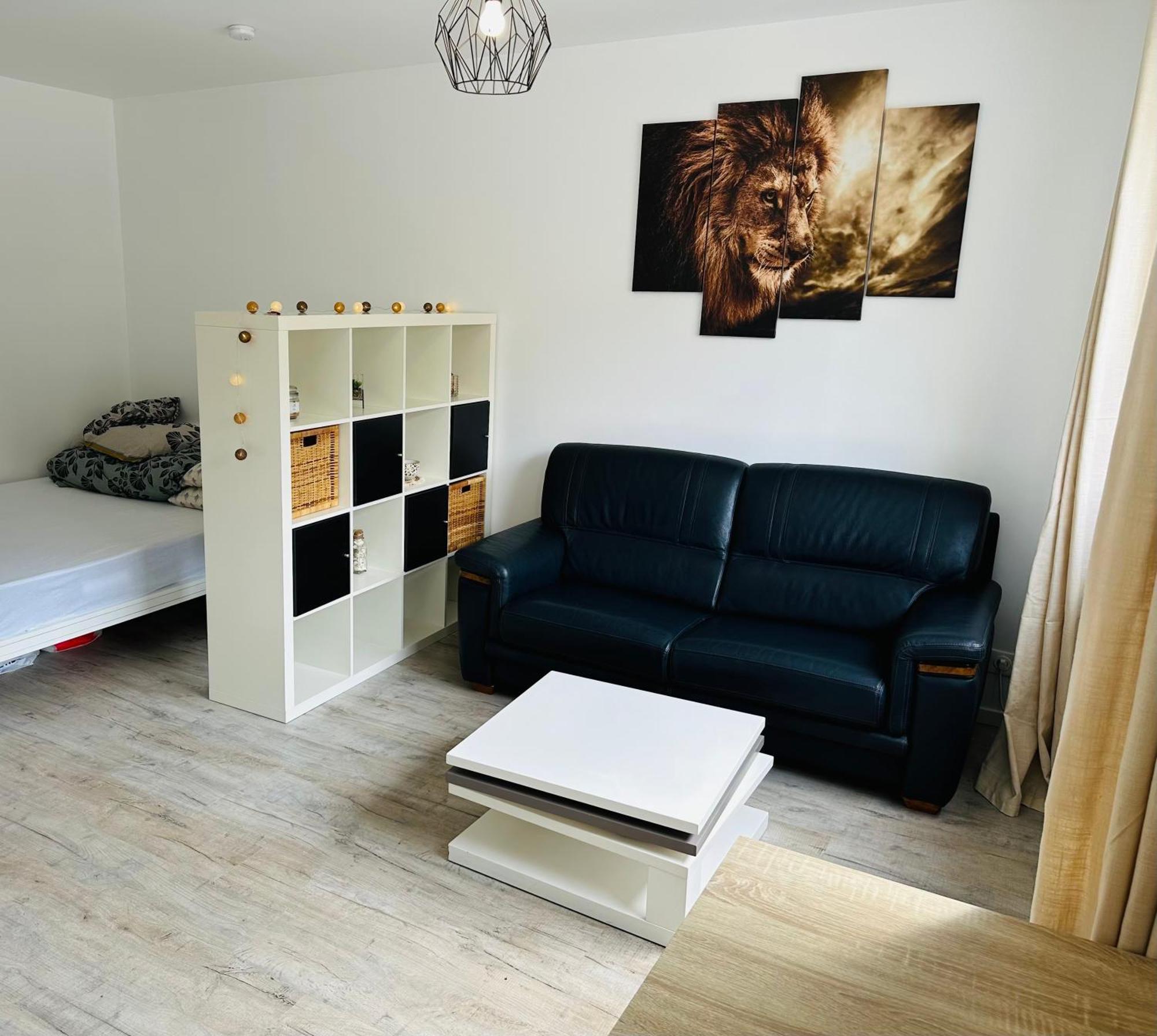 Tres Agreable Studio A Villeurbanne Esterno foto